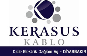 Dicle Elektrik Dağıtım A.Ş – Diyarbakır