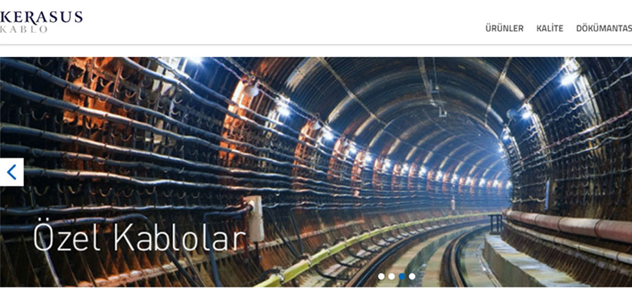 Web Sitemiz Yayında