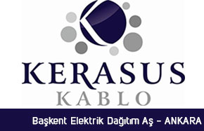 Başkent Elektrik Dağıtım A.Ş – Ankara